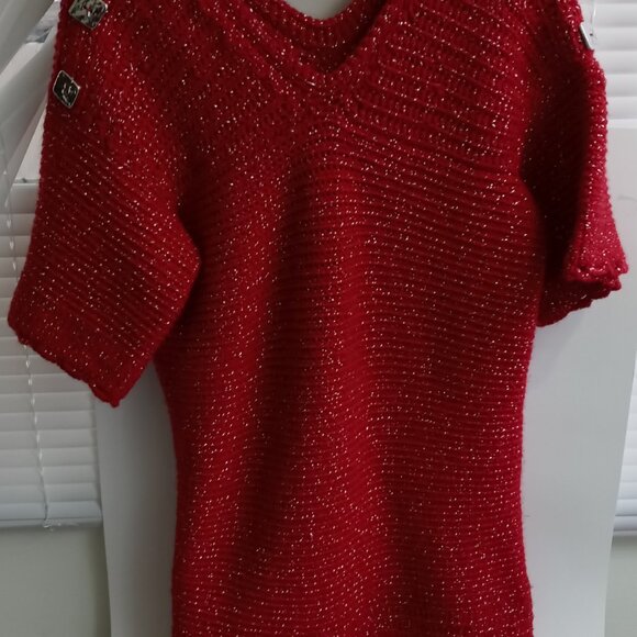 ADULT SKIRT SUIT (LGE) - Picture 1 of 4